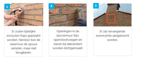 overzicht_proces_natuurvriendelijk_isoleren