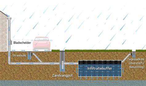 Infographic: overzicht van platte dak afvoeropties (regenpijp, groendak, infiltratie, regenton)