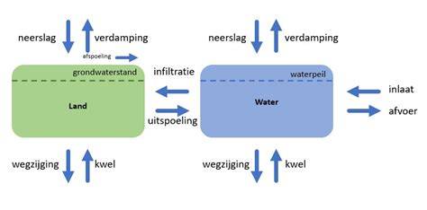Infographic: waterbalans bij regenwaterinfiltratie