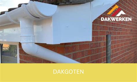 Infographic: soorten dakgoten en hun toepassingen