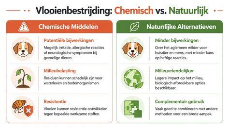 Diagram: suggesties voor een geïntegreerde vlooienbestrijding in huis