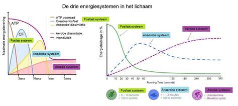 Diagram: restafvalstromen en verbranding/energieopwekking
