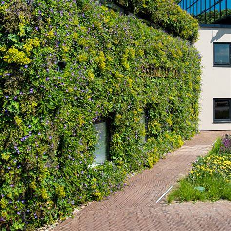Groene gevel met klimplanten tegen een muur
