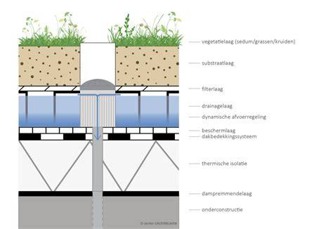groene sedumdak infographic: aanleg, onderhoudsfasen en waterafvoer