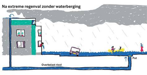 Infographic: werking en waterberging van sedumdaken