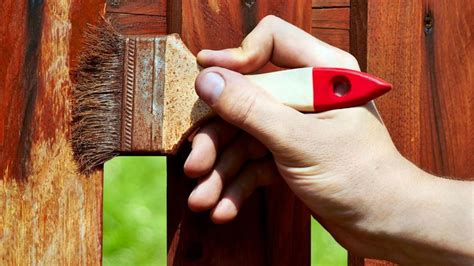 Hoe werkt beits: vochtregulatie en houtbescherming (diagram)