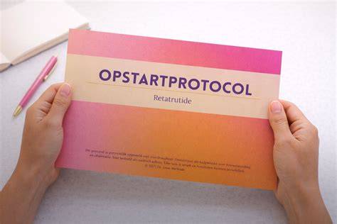 Schema: opstartprotocol en flowmetergebruik