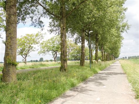 Afbeelding: Overzicht van verschillende horType meetpunten en montageposities