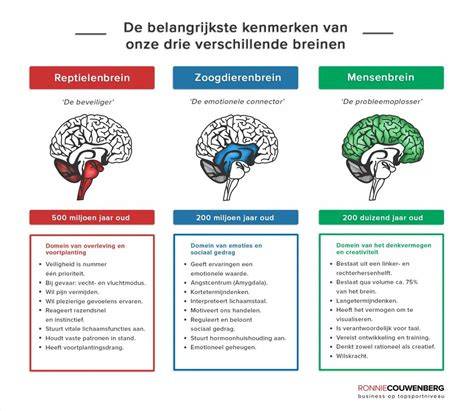 Infographic: overzicht van laminaatopties, groeven en waterbestendigheid