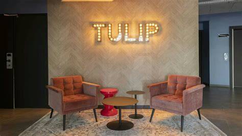 Infographic: Renovatie- en rebrandingproces bij Tulip Hotels