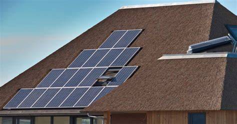 Infographic: Voor- en nadelen van zonnepanelen op rieten dak