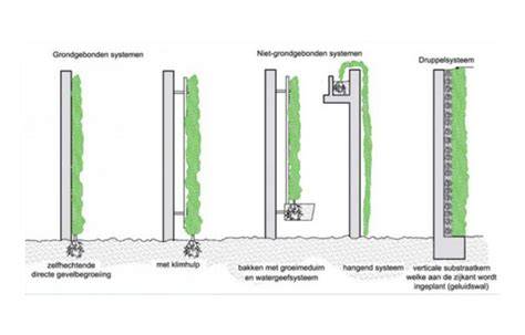 Diagram: werking van een groene gevel als natuurlijke isolator