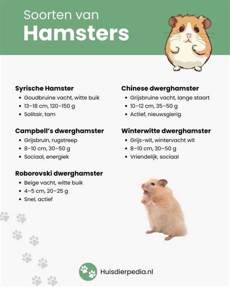 Infographic: Verschillende soorten douchedeurscharnieren en montagemogelijkheden