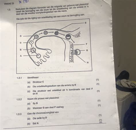 diagram van afvoerdiameters en volgorde