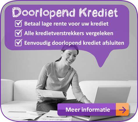 Infographic: Vergelijking van leenopties (persoonlijke lening, doorlopend krediet, hypotheek verhogen)