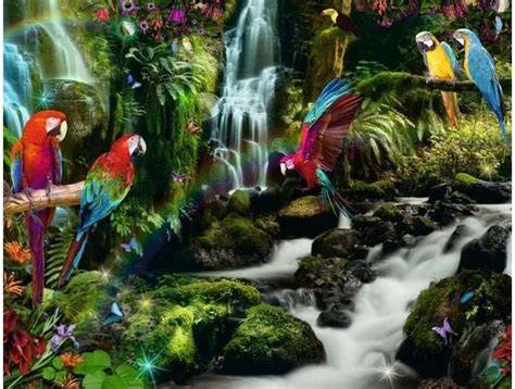 Foto-voorbeelden van vogelbehangstijlen: Papegaaien, Zwanen, Flamingo's, Haviken