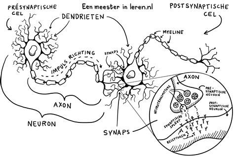 Schematische tekening van verharding en tijdpad