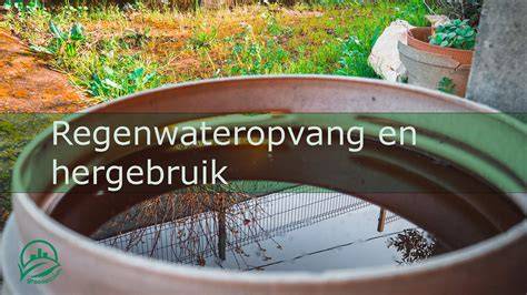 Regenwateropvang: regenton en ondergrondse tank
