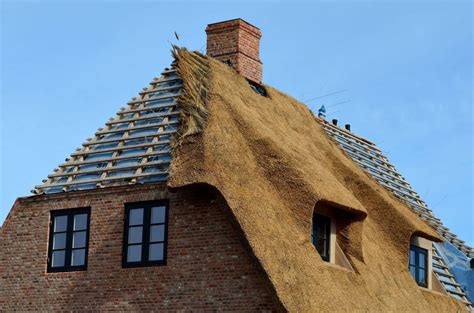 Afbeelding van een traditioneel rieten dak op molen met riethaken en gaarden