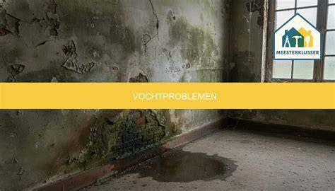 Alg- en mosvorming en vochtproblemen