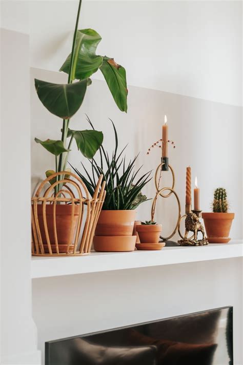 Aquablauwe accessoires en planten