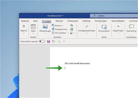 Stapsgewijze kaart van het invoegen van bestanden in Word