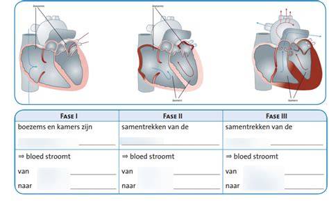 Diagram: werking van diep indringende vs filmvormende impregneermiddelen