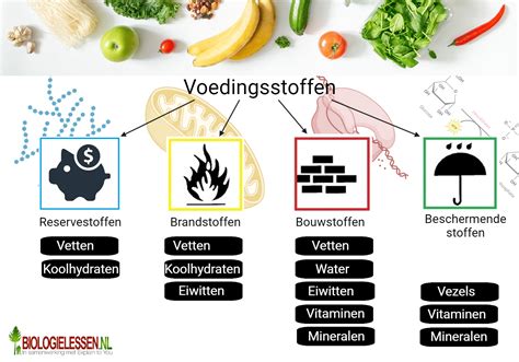 Roestende kleuren en staal-look infografiek