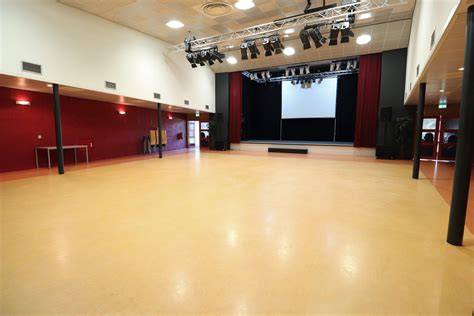 Afbeelding van een zaal met hemelbekleding en goudkleurige accenten