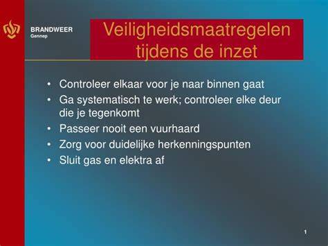 Veiligheidsmaatregelen tijdens dakwerkzaamheden infographic