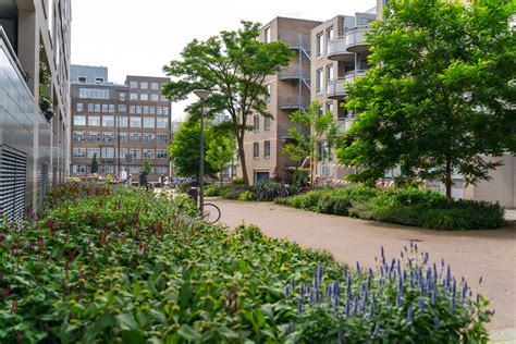 Ontwerpplattegrond Blekersduin - toekomstige aanleg en vergroening