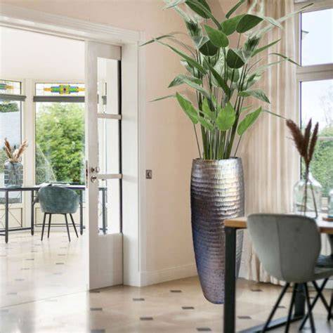 Foto van hoge kamerplanten bij een voordeur