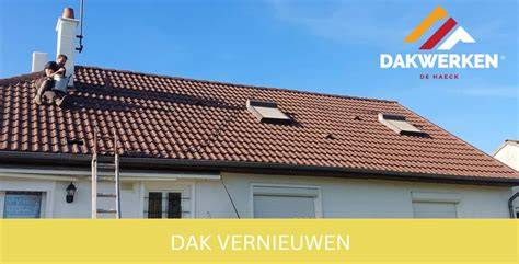 tabel: prijsindicatie per daktype