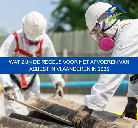 Infographic: wereldwijd gebruik en regels omtrent asbest