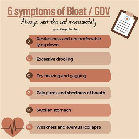GDV infographic