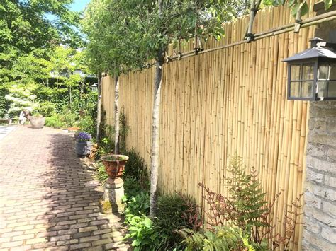 Illustratie van een tuin met een bamboe schutting