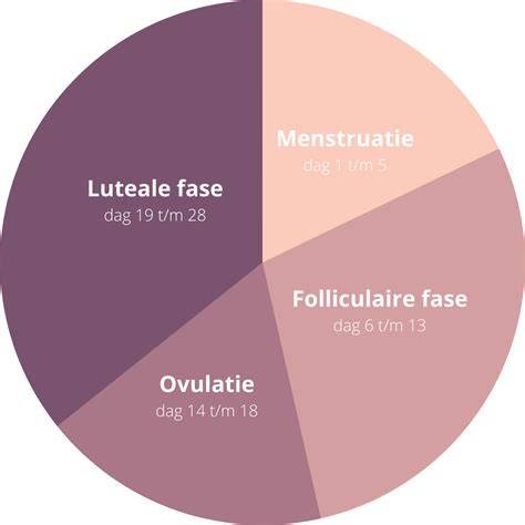 Infographic: 4 fasen van de menstruatiecyclus en belangrijkste voedingsstoffen per fase