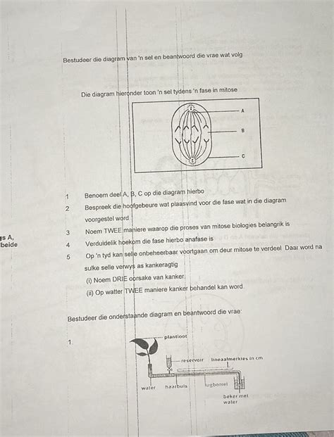 Diagram van sfumato-techniek en vernislagen