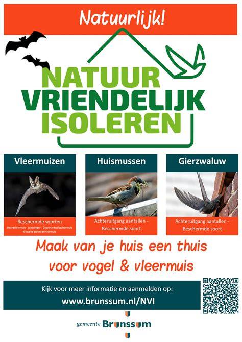 Illustratie: Natuurvriendelijk isoleren (NVI) en vleermuisinformatie