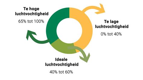 Infographic: factoren die de luchtvochtigheid beïnvloeden in huis