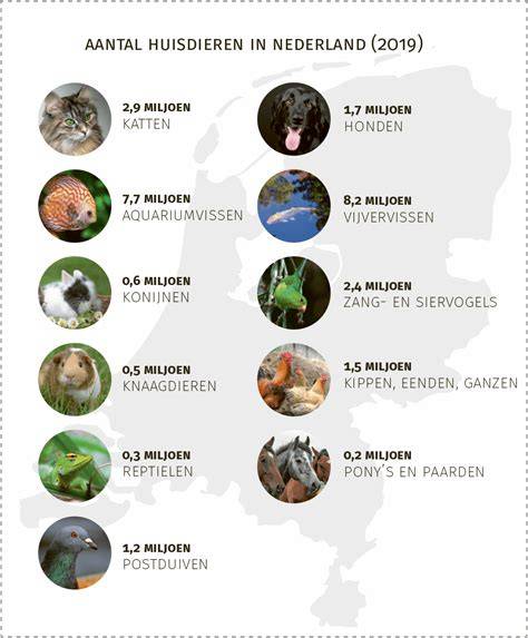 Infographic: Uitvaartopties voor huisdieren in Nederland