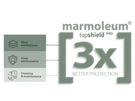 Topshield pro finish infographic