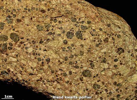 Cementconglomeraat - Zwerfsteen van Ellertshaar (Dr.)