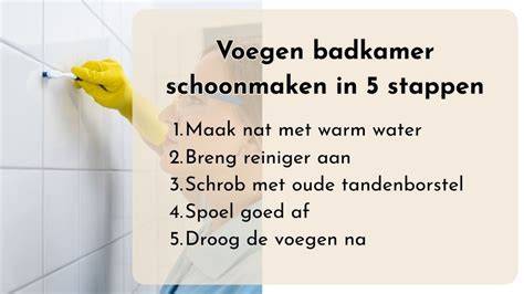 Infographic: Stappenplan voor het schoonmaken van voegen