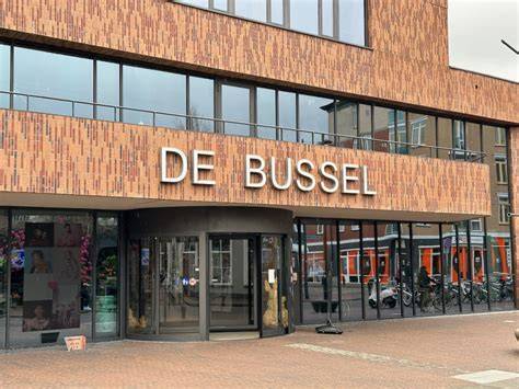 Infographic: Architectuur en renovatie van Theater De Bussel, inclusief geluidisolatie en combinaties met Theek 5 en VVV