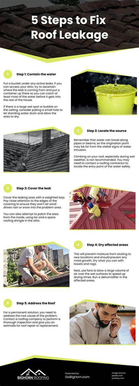 infographic: signs of roof leakage and steps to take