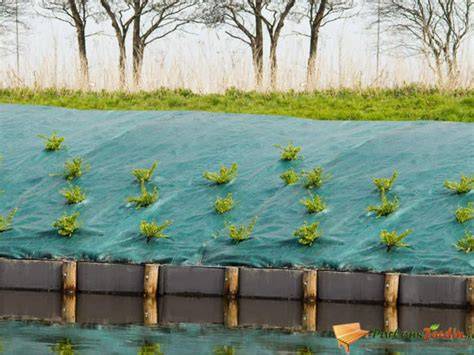 Foto van een proefstrook worteldoek met plaggen