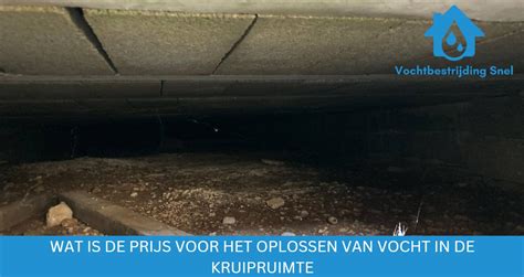 Infographic: Oorzaken vocht onder vloer kruipruimte en oplossingsketen