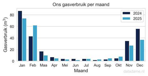 Infographic: Gasverbruik per toepassing