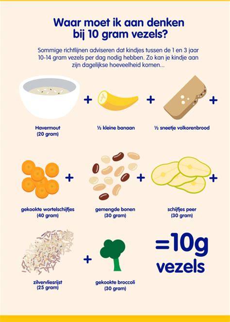 Infographic: Overzicht schijftypes, korrels en toepassingsgebieden